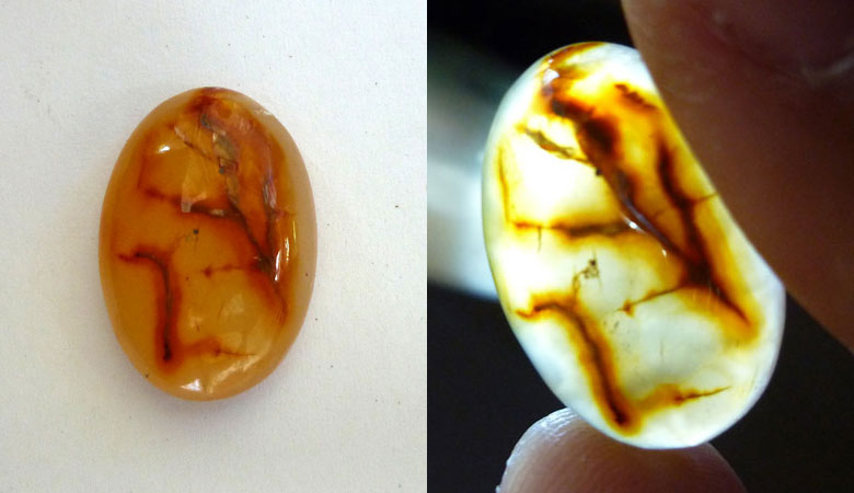 Translucent Picture Agate Cab from Indonesia
