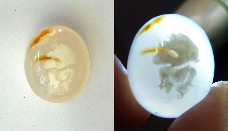 Indonesian Picture Agate Cab Indonesia